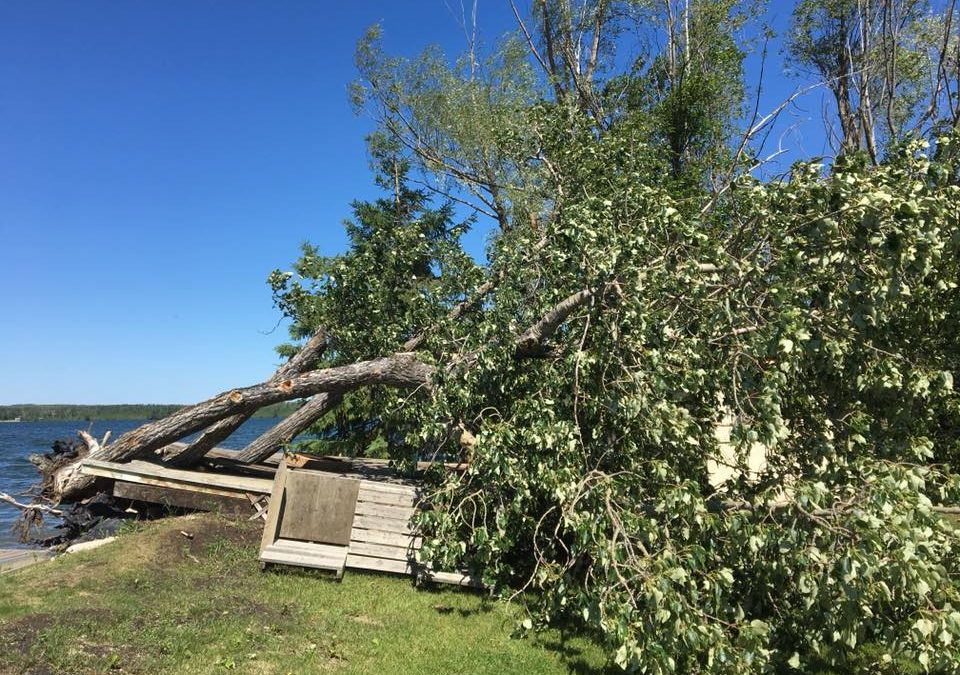 Weekend storm knocks out power throughout northern Sask.