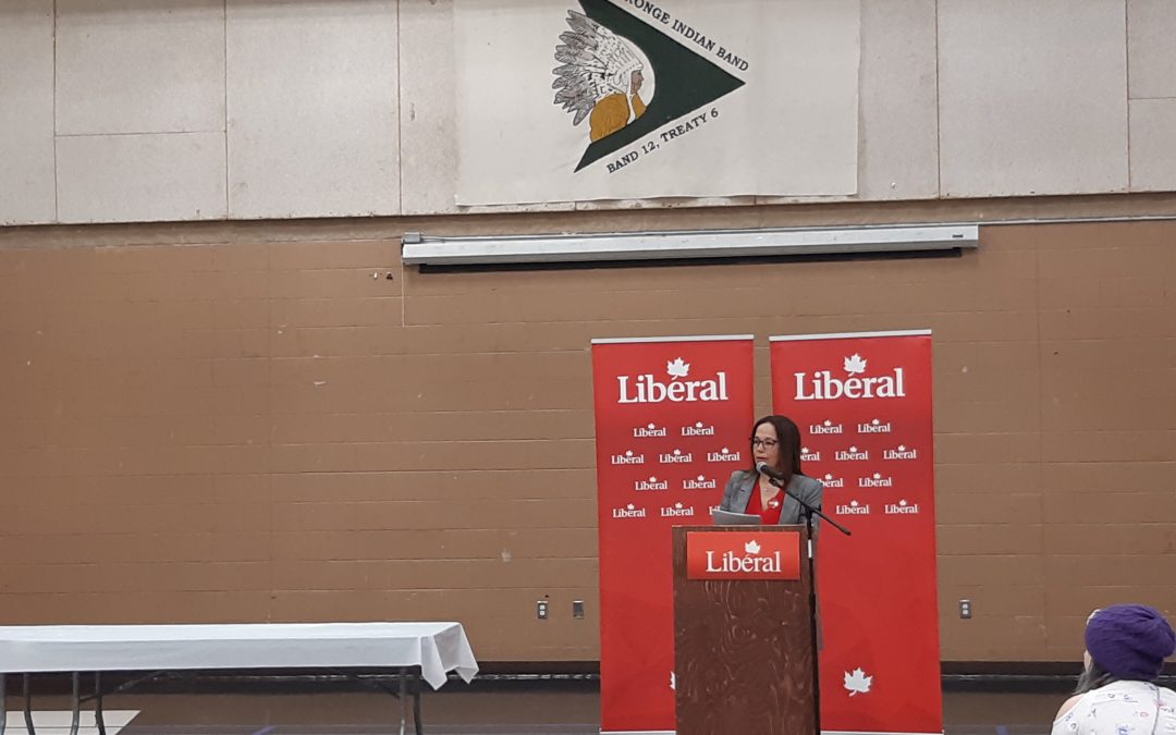 Cook-Searson acclaimed as Liberal candidate